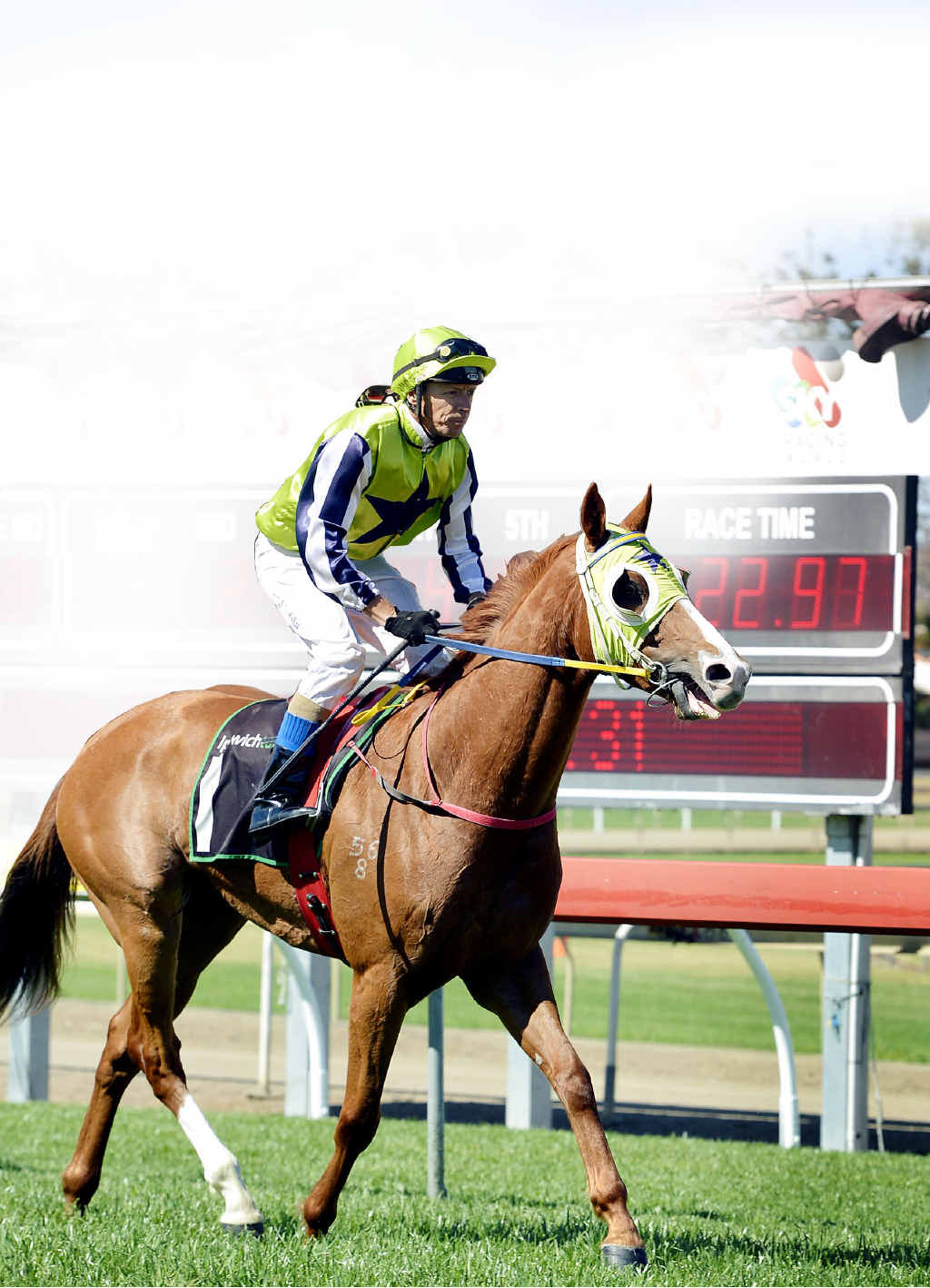 TACTICS: Michael Cahill savours a successful ride on Brave Palatinsk at Ipswich last year. He will be on Sea Skye at today’s XXXX Gold Lismore Cup. TACTICS: Michael Cahill savours a successful ride on Brave Palatinsk at Ipswich last year. He will be on Sea Skye at today’s XXXX Gold Lismore Cup.